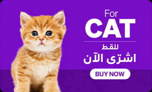 Buy-for-cat-1024x627-1 dual
